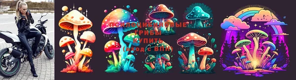 молекула духа Белоозёрский