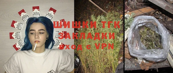 молекула духа Белоозёрский
