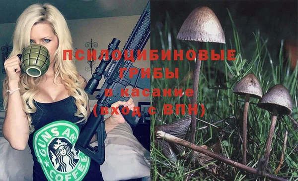 jwh Белокуриха