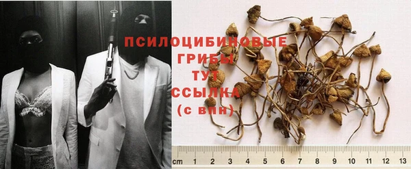 стафф Беломорск