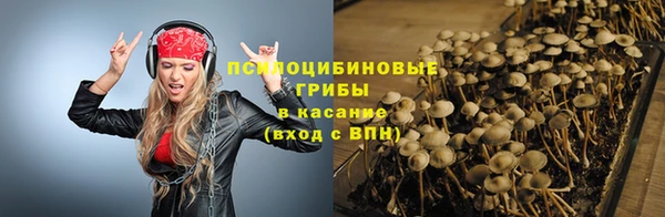 молекула духа Белоозёрский