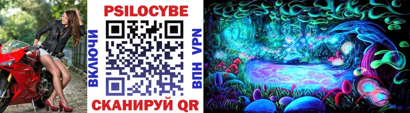 Купить где  Советский  Галлюциногенные грибы GOLDEN TEACHER 